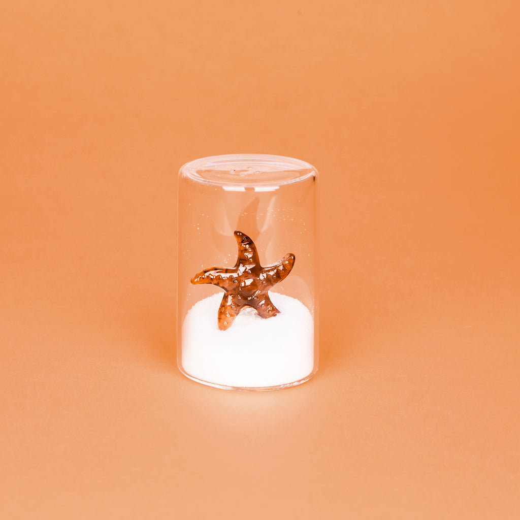 Atlantis Starfish Salt Shaker