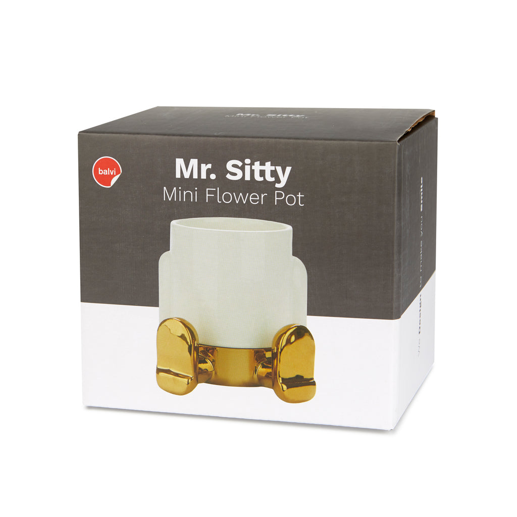 Maceta Mini Mr. Sitty