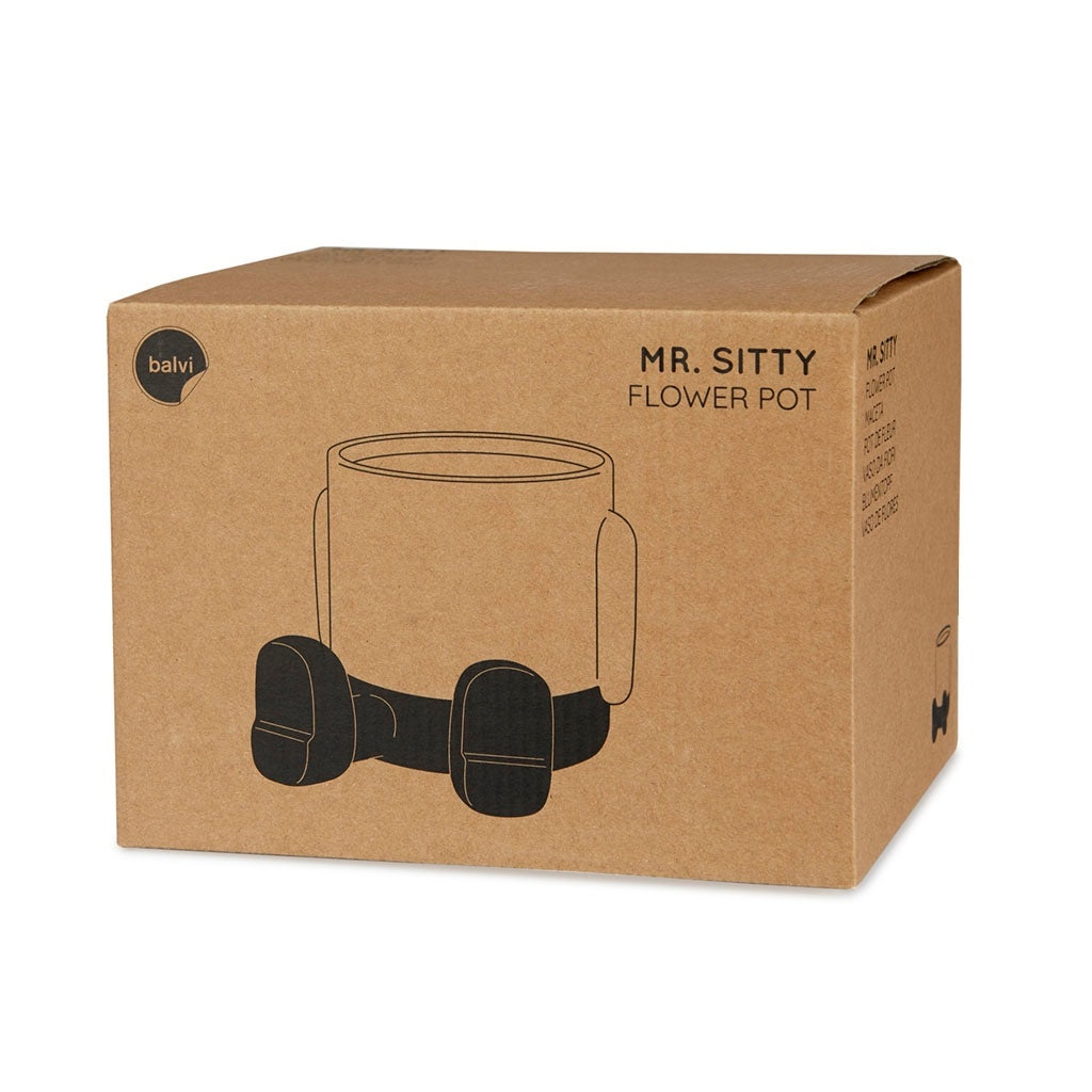 Maceta Mr. Sitty