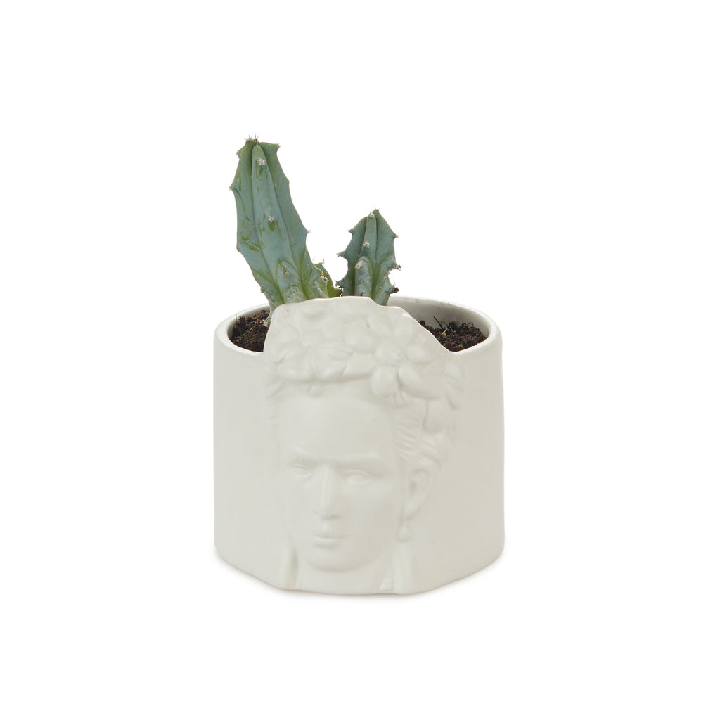 Pot de fleurs Frida