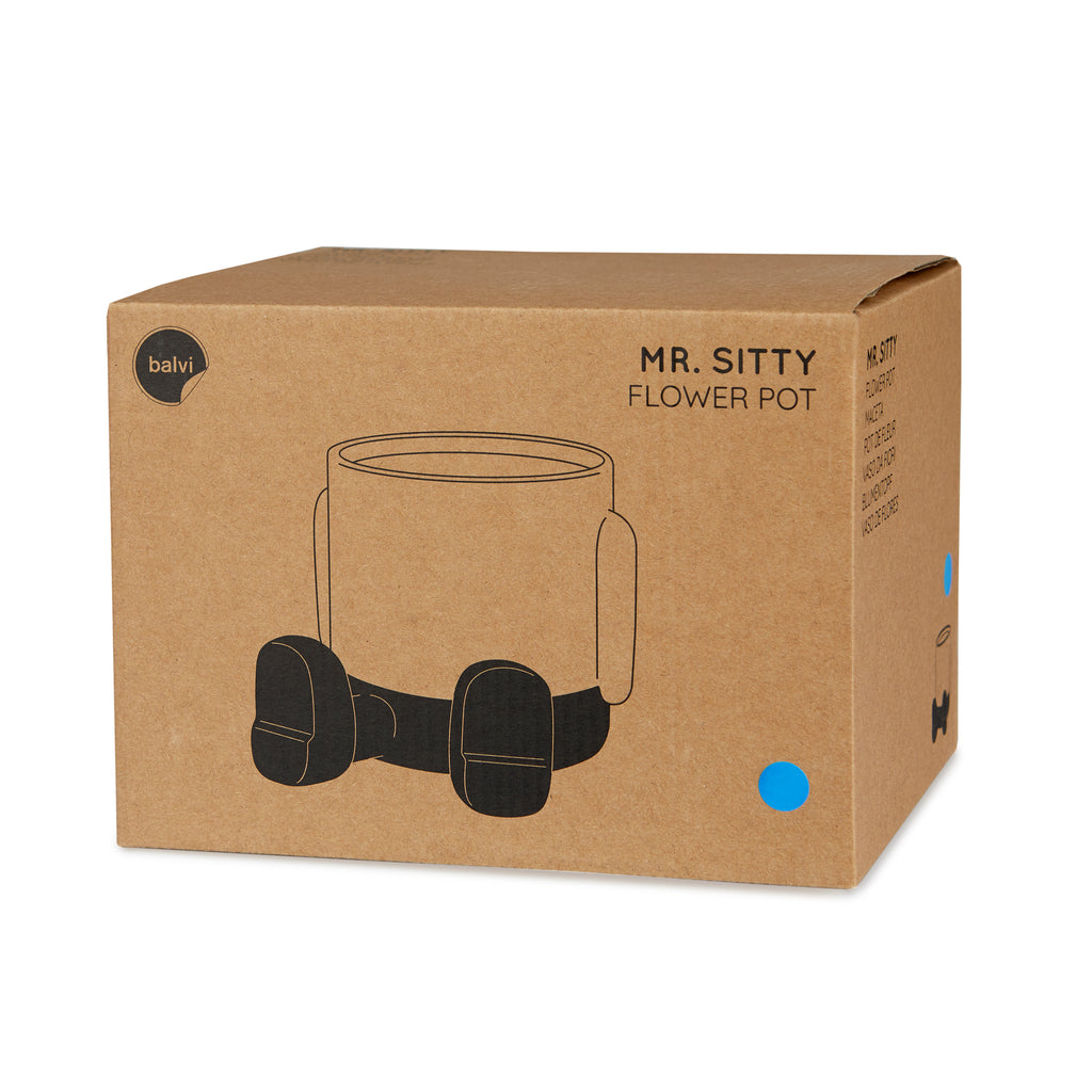 Maceta Mr. Sitty