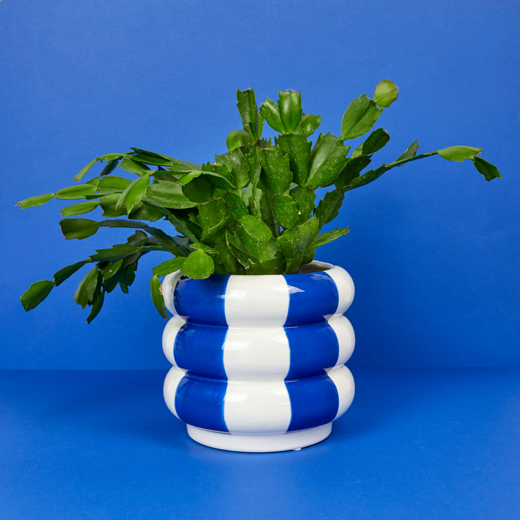 Floats Plant Pot