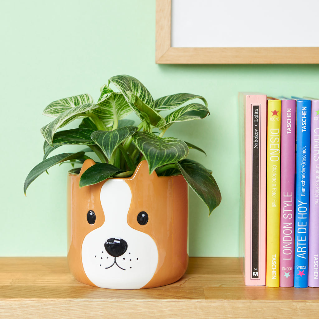 Woof! Plant Pot