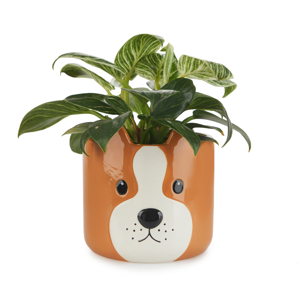 Woof! Plant Pot