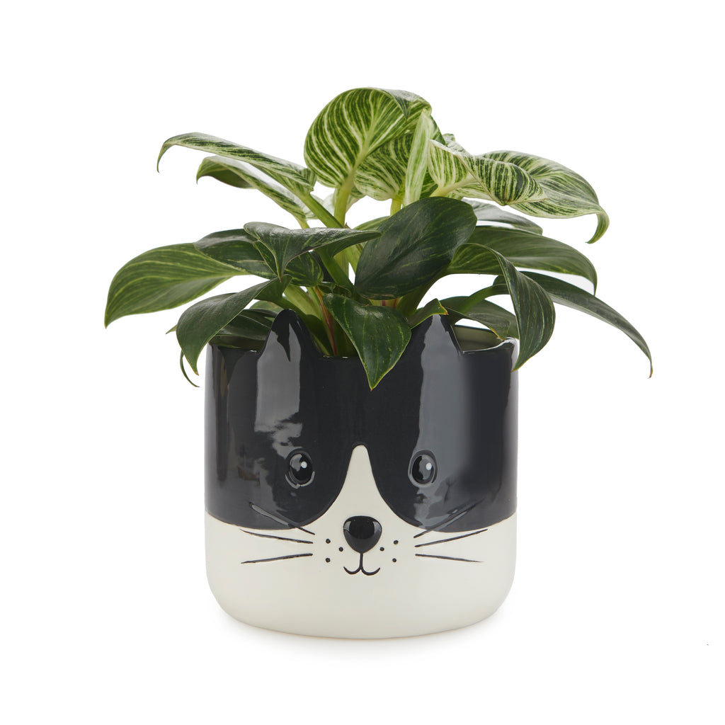 kitty plant pot Kitty Plant Pot