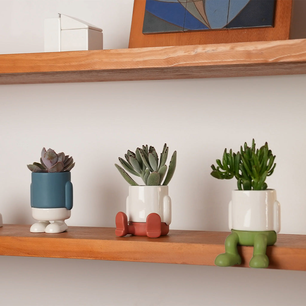 Maceta Mini Mr. Standy