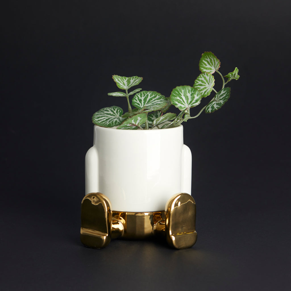 Maceta Mini Mr. Sitty