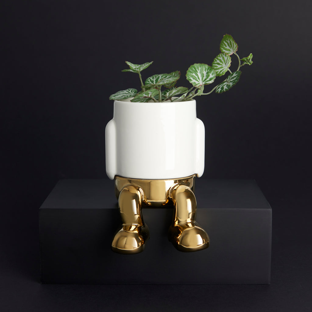 Maceta Mini Mr. Dangly