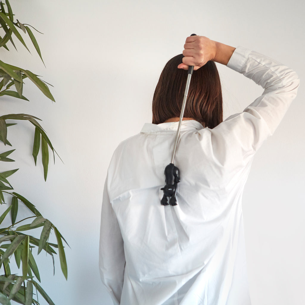 Curious Cat Back Scratcher