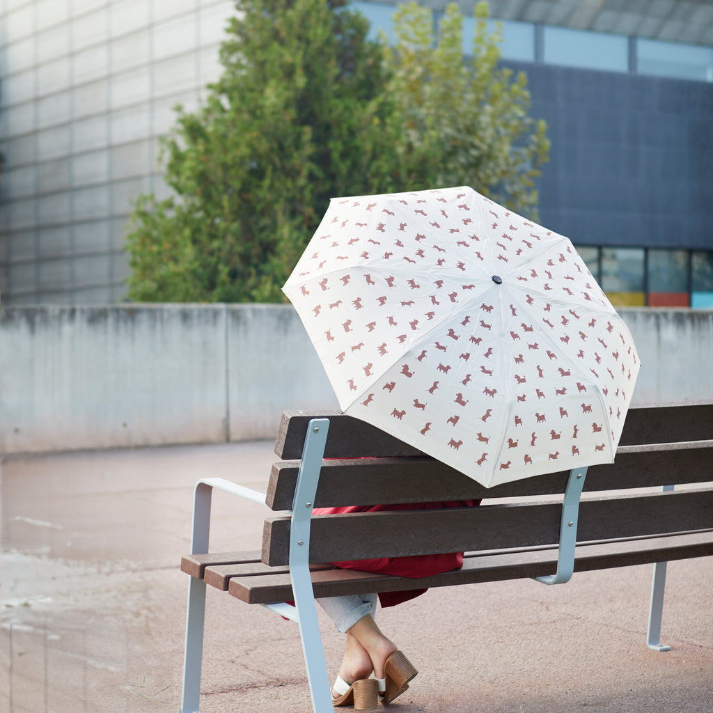 Paraguas Meowmbrella