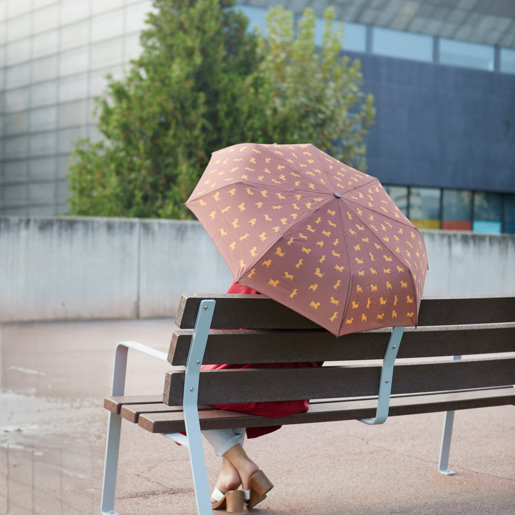 Paraguas Meowmbrella