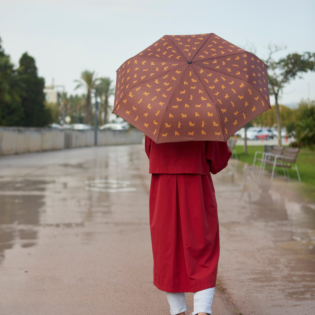 Regenschirm Puppymbrella