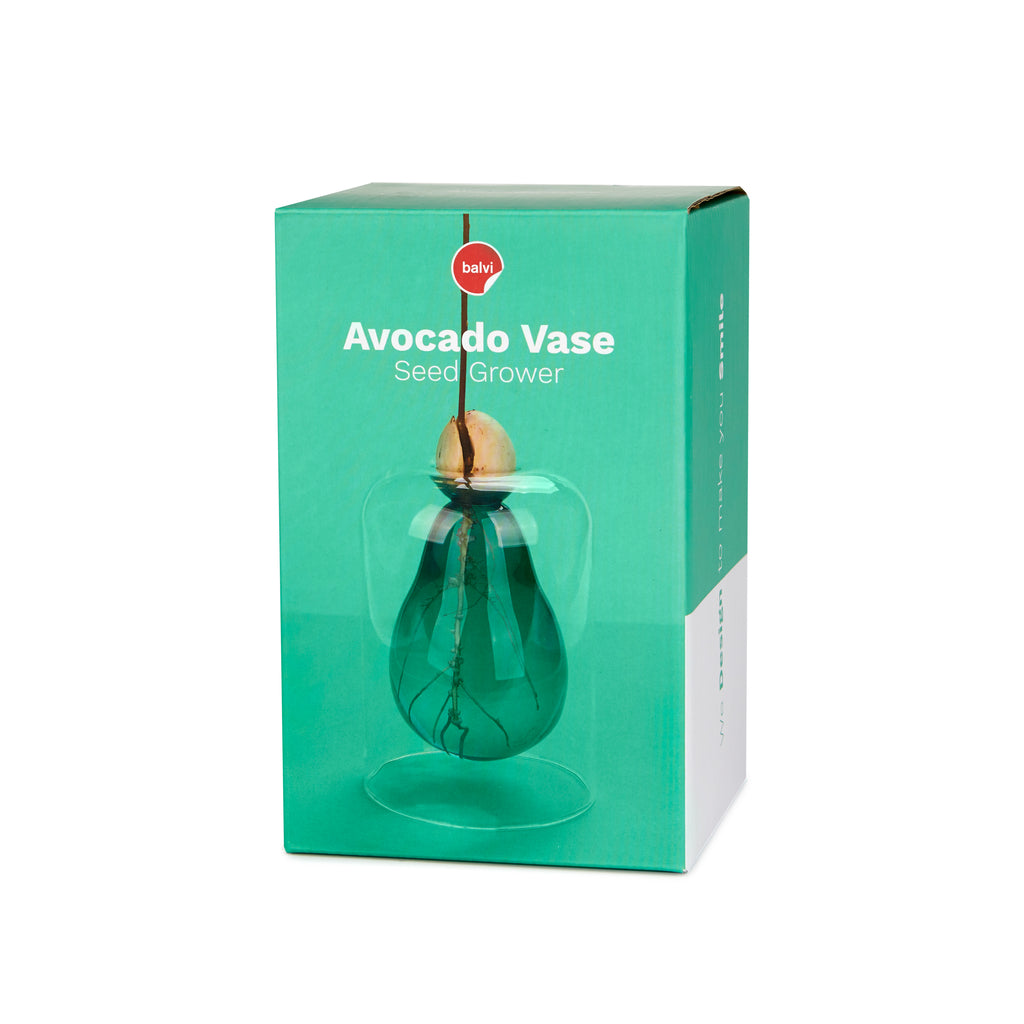 Avocado Vase
