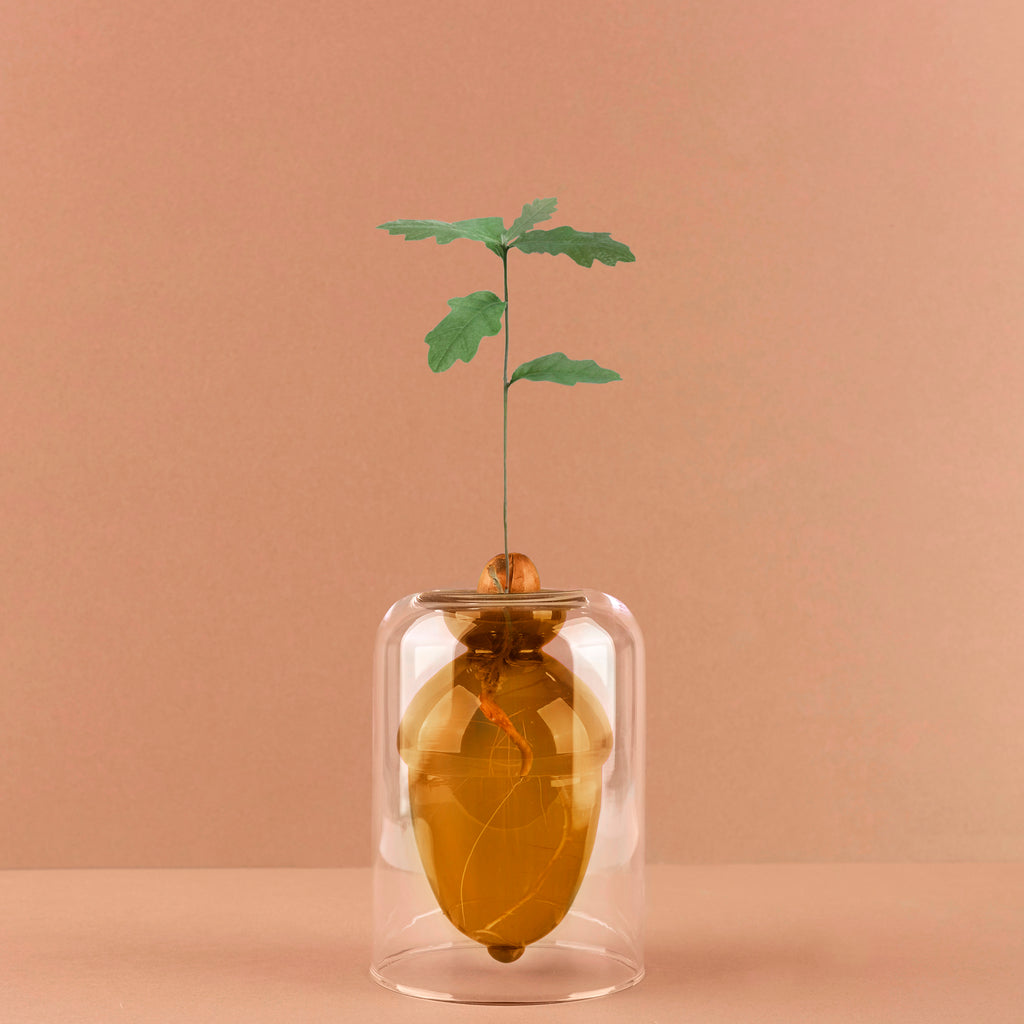 Vase Acorn