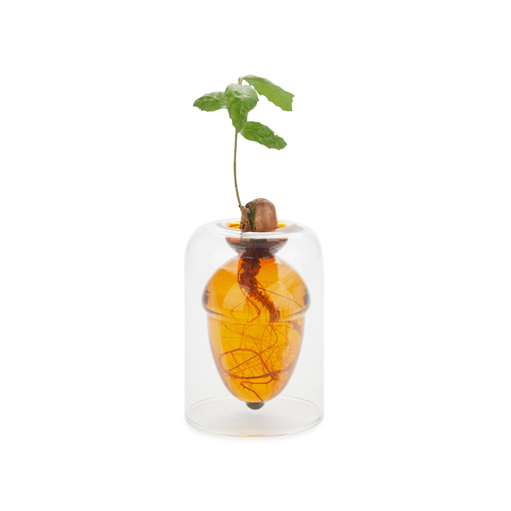 Vase Acorn