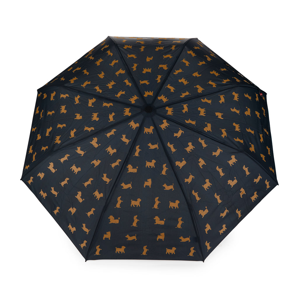 Parapluie Teckel