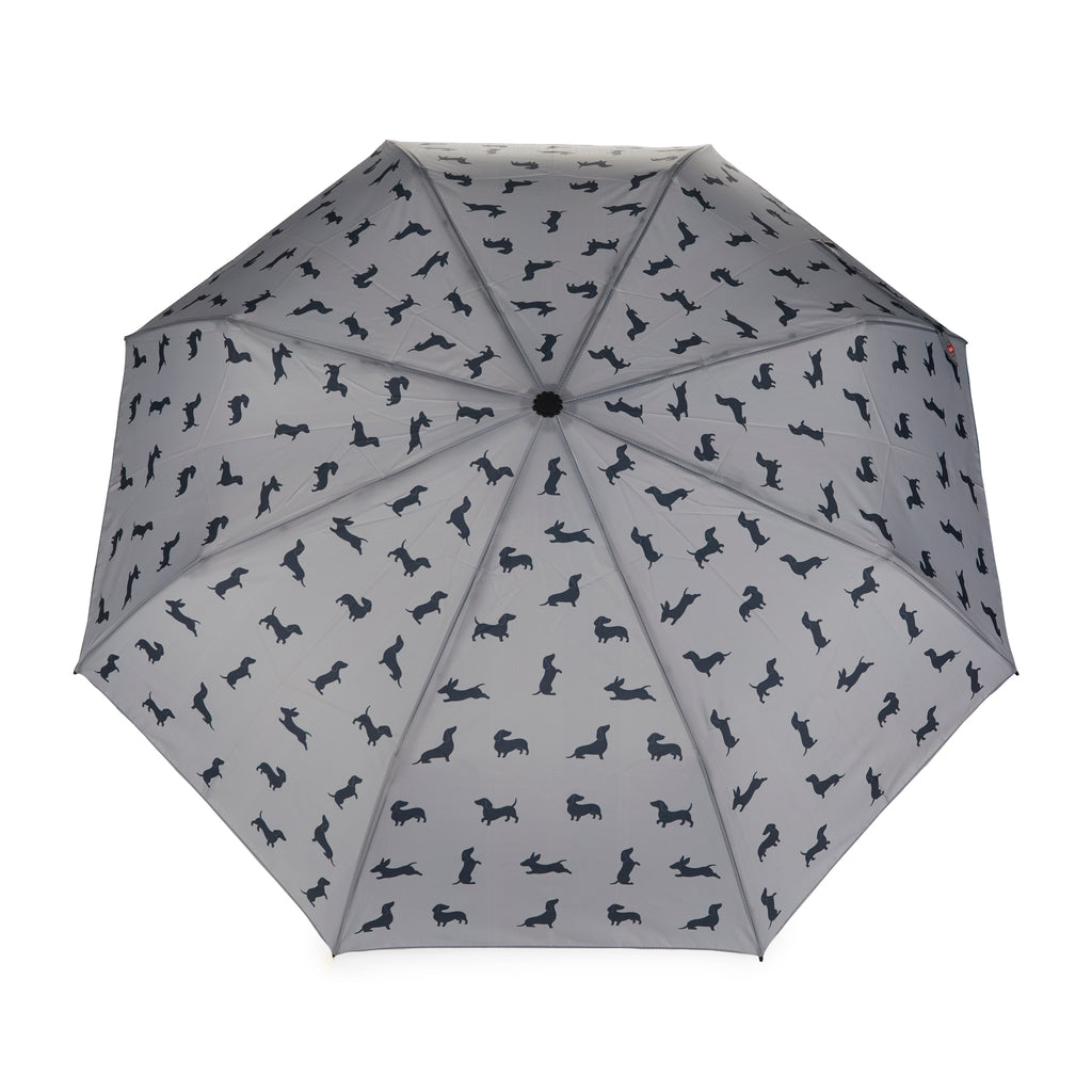 Teckel Regenschirm