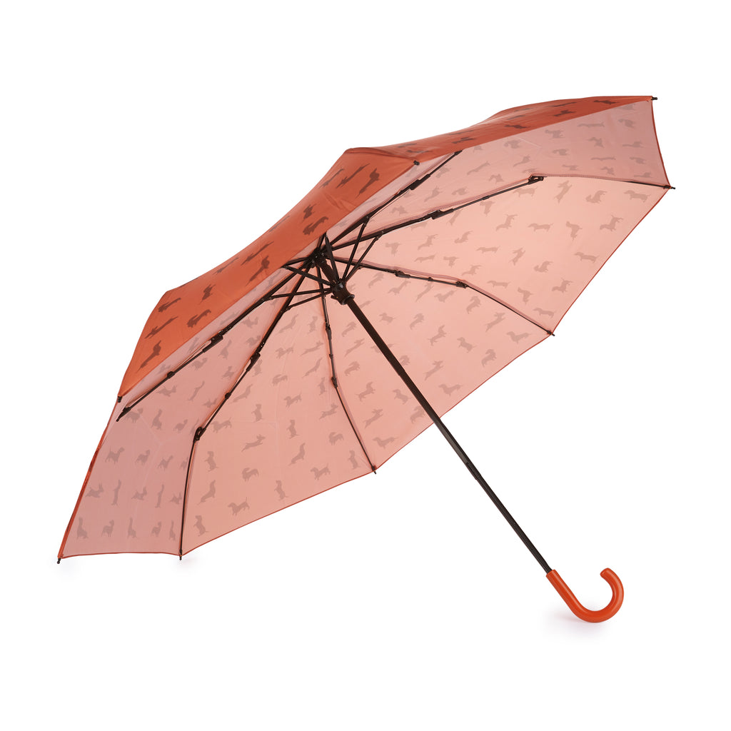 Parapluie Teckel