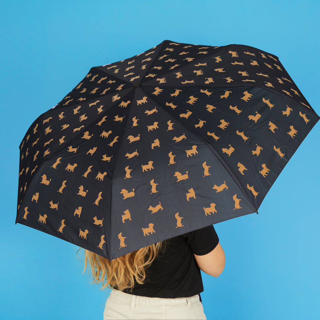 Parapluie Teckel