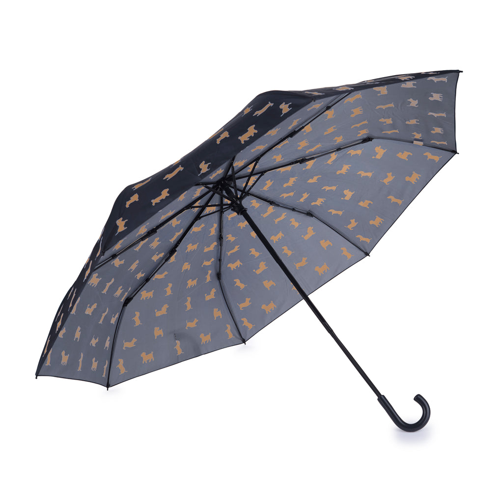 Parapluie Teckel