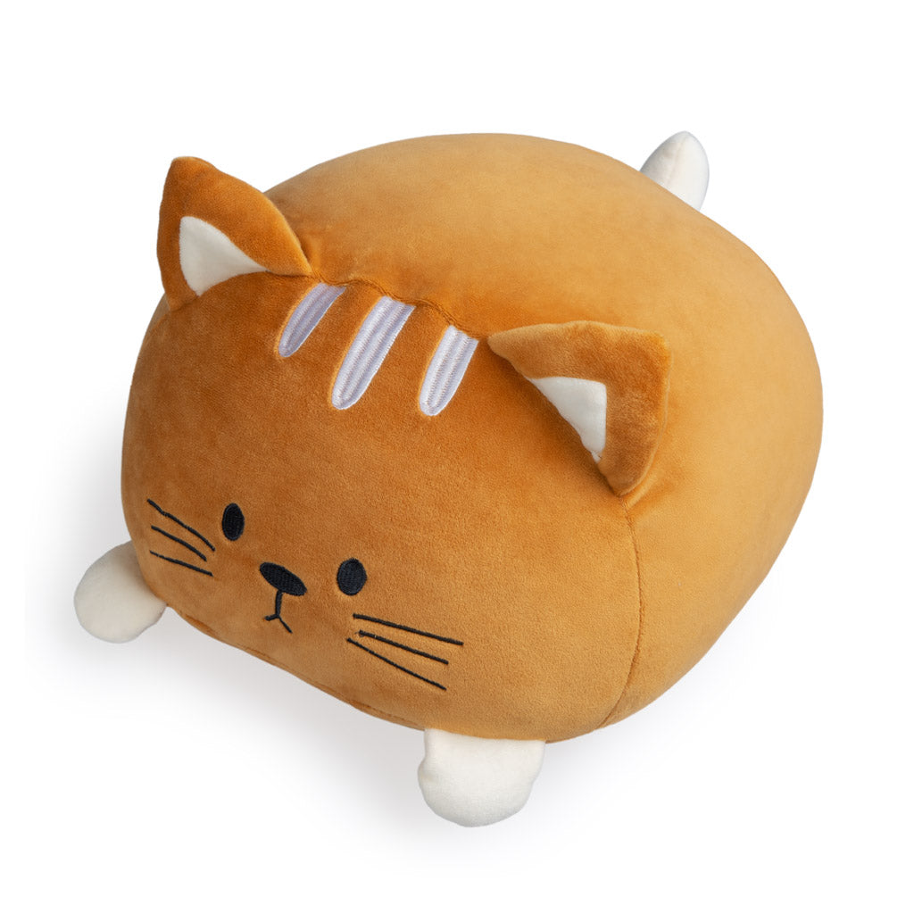 Kitty Cushion