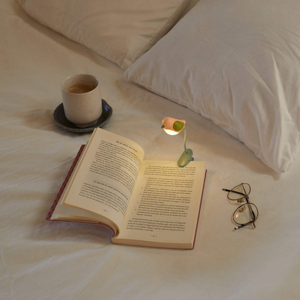 Birdie Book Light