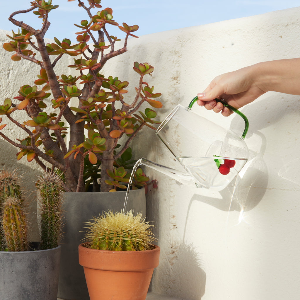 Annaffiatoio Botanical Cherry