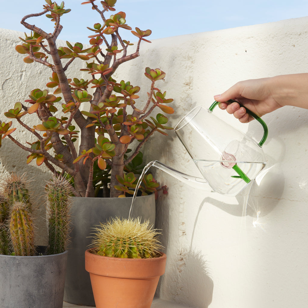 Annaffiatoio Botanical Tulip