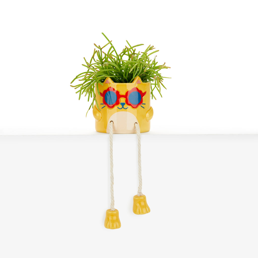 Mini coprivaso Cool Cat