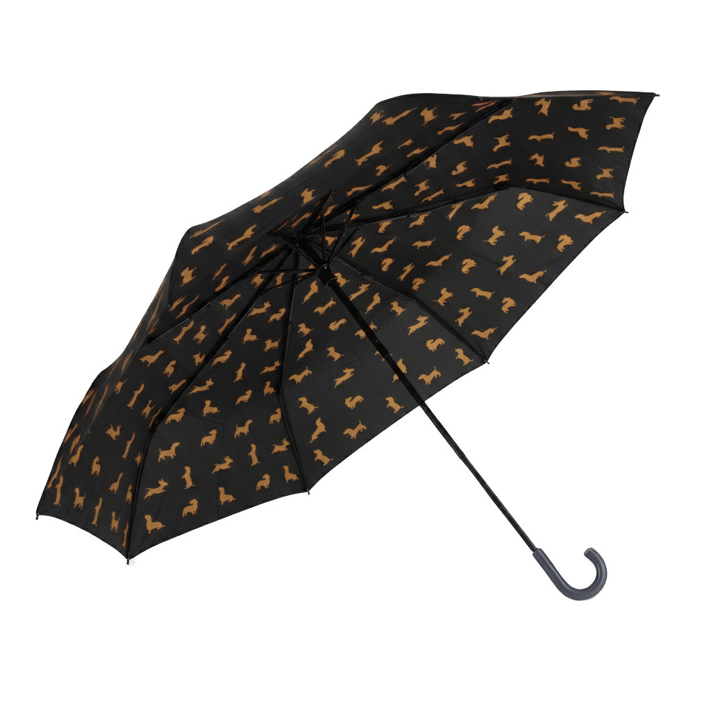 Teckel Regenschirm