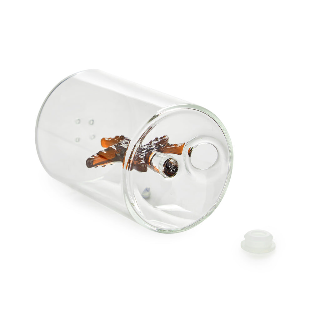 Atlantis Starfish Salt Shaker