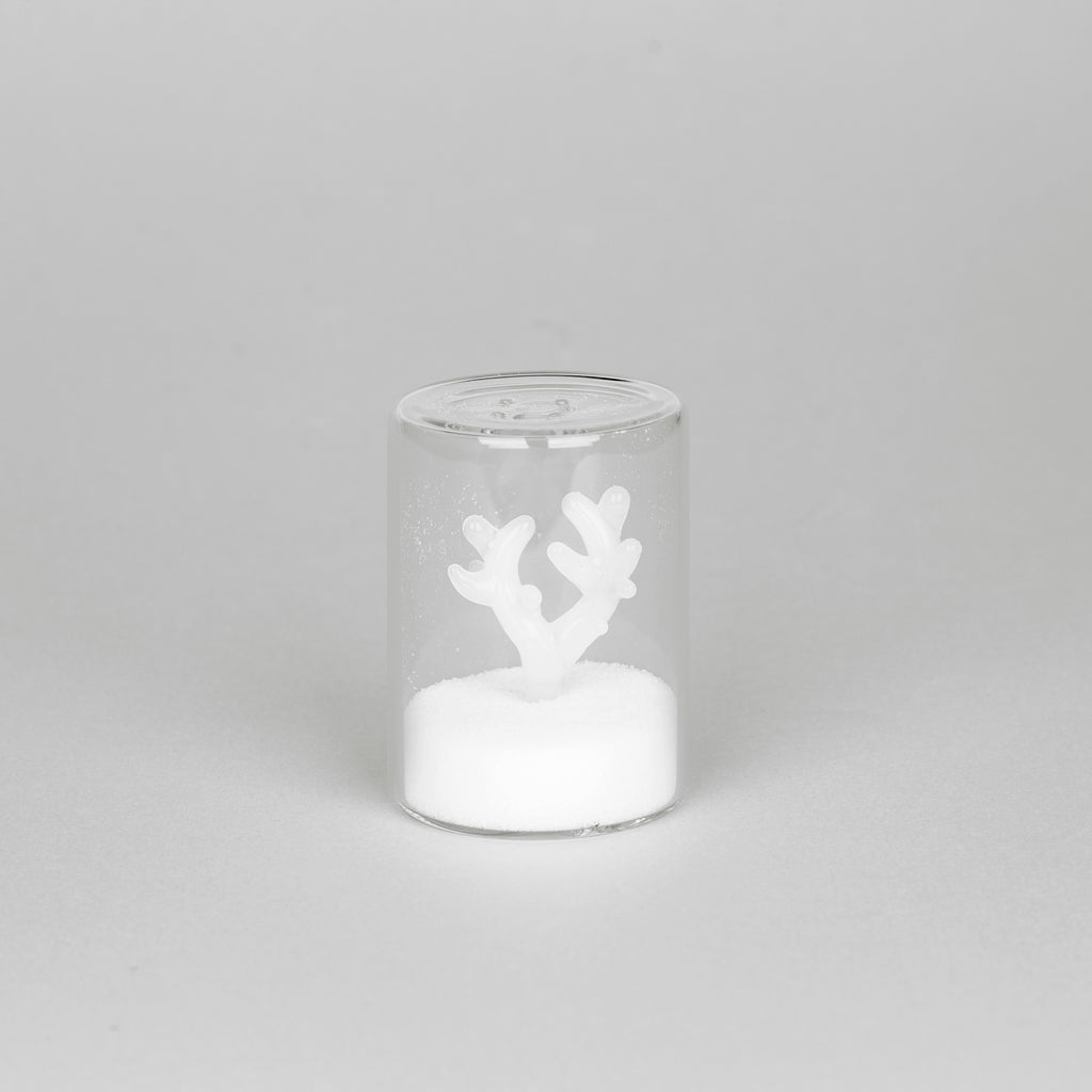 Salero Atlantis Coral