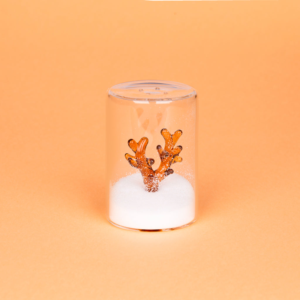 Salero Atlantis Coral