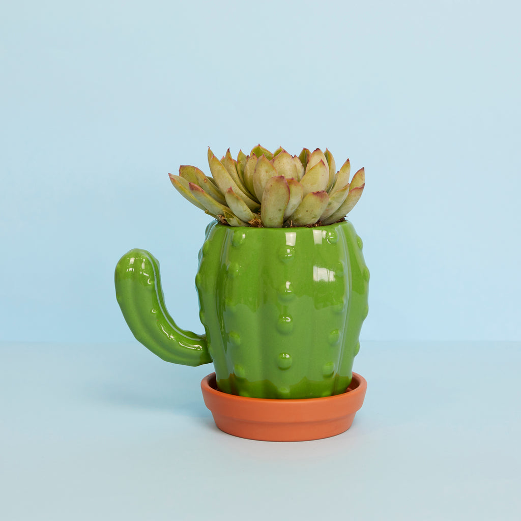 Cactus Mug