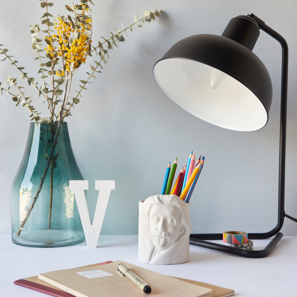 Portalápices Albert Einstein