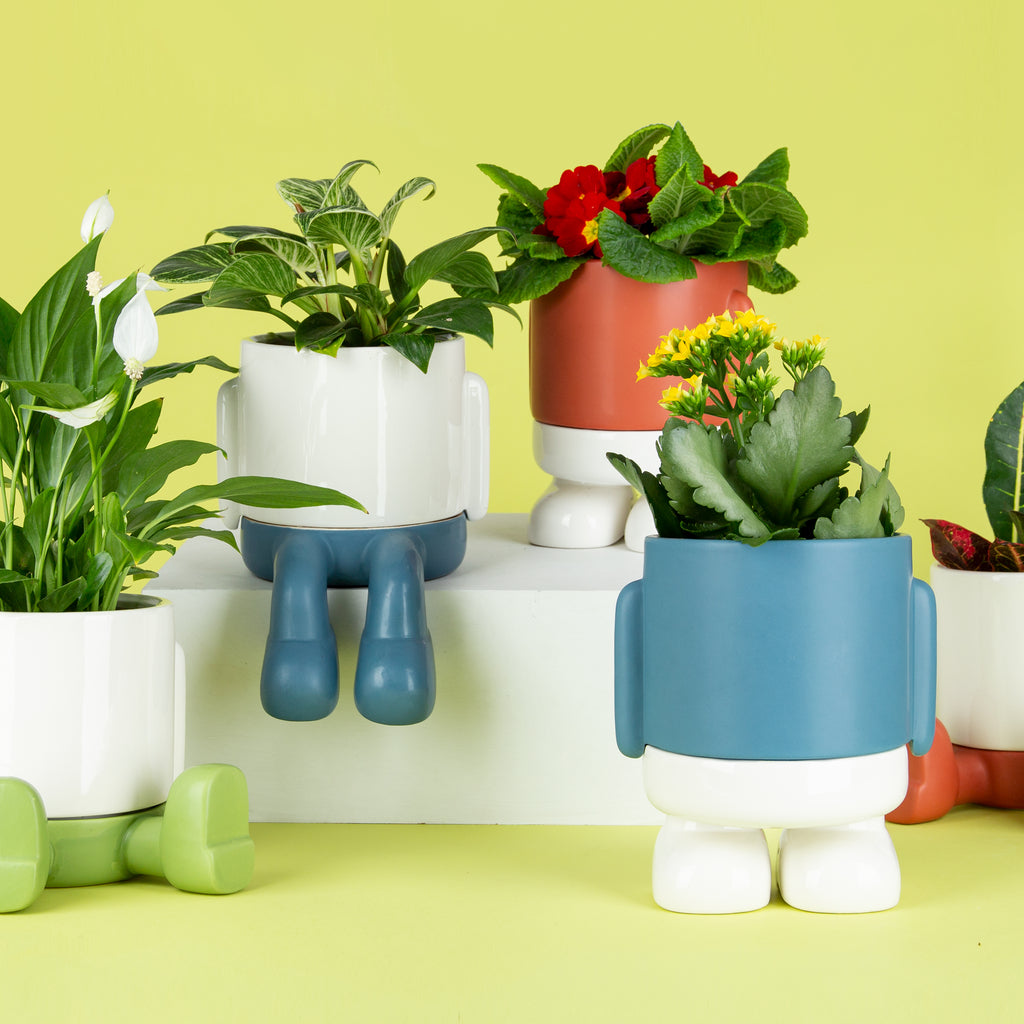 Mr. Dangly Plant Pot