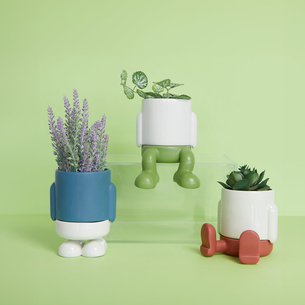 Maceta Mini Mr. Sitty