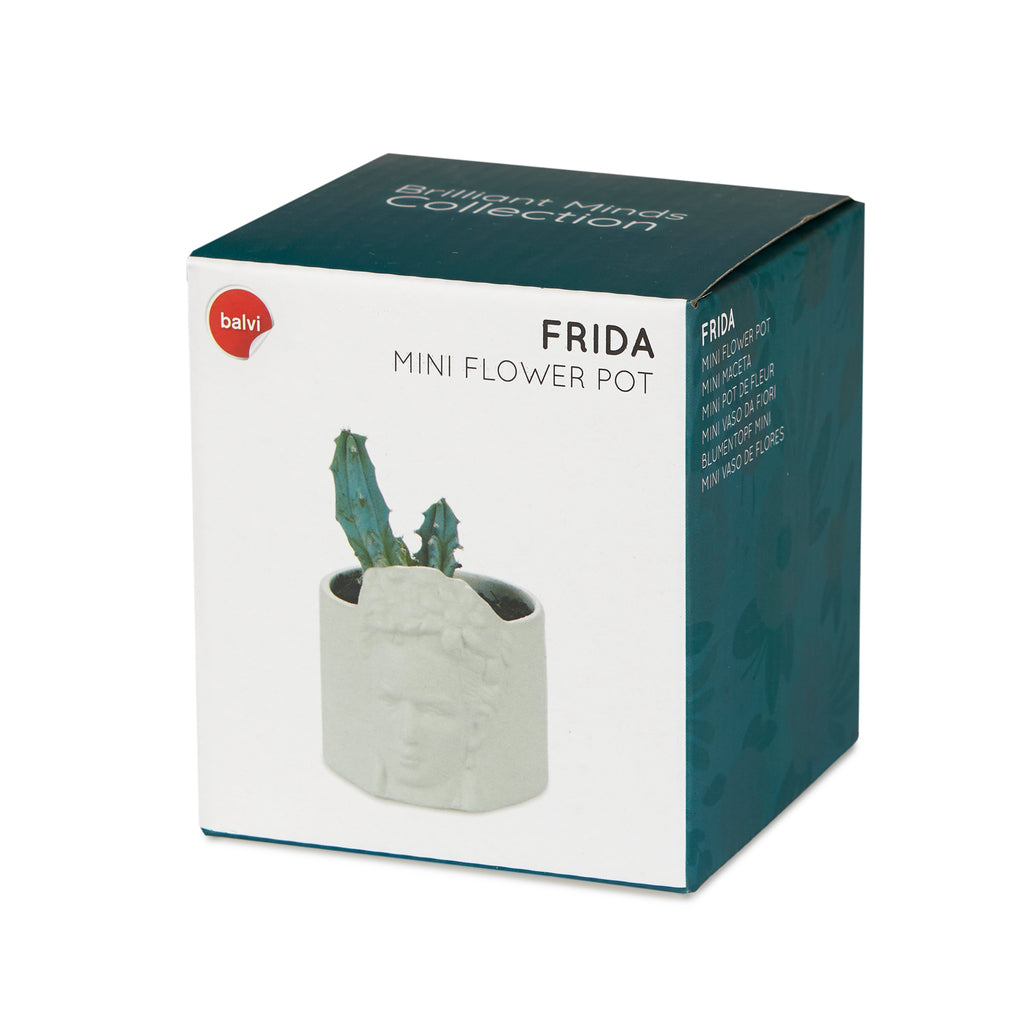 Pot de fleurs Frida