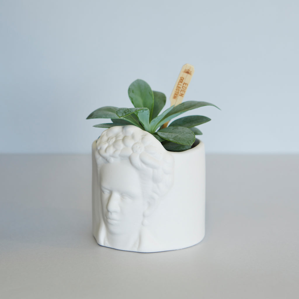 Pot de fleurs Frida