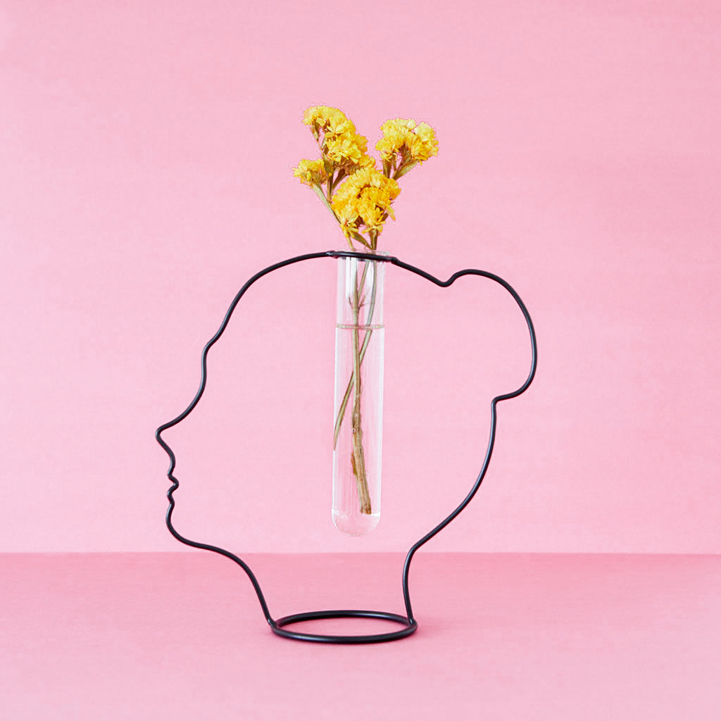 Vase Lady Silhouette