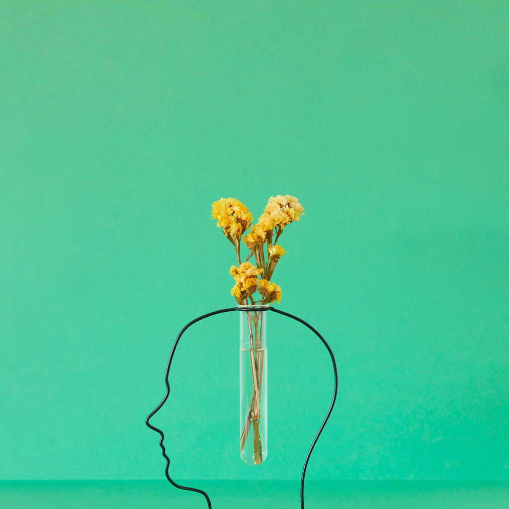 Vase Gentle Silhouette