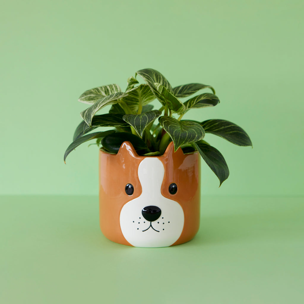 Woof! Plant Pot