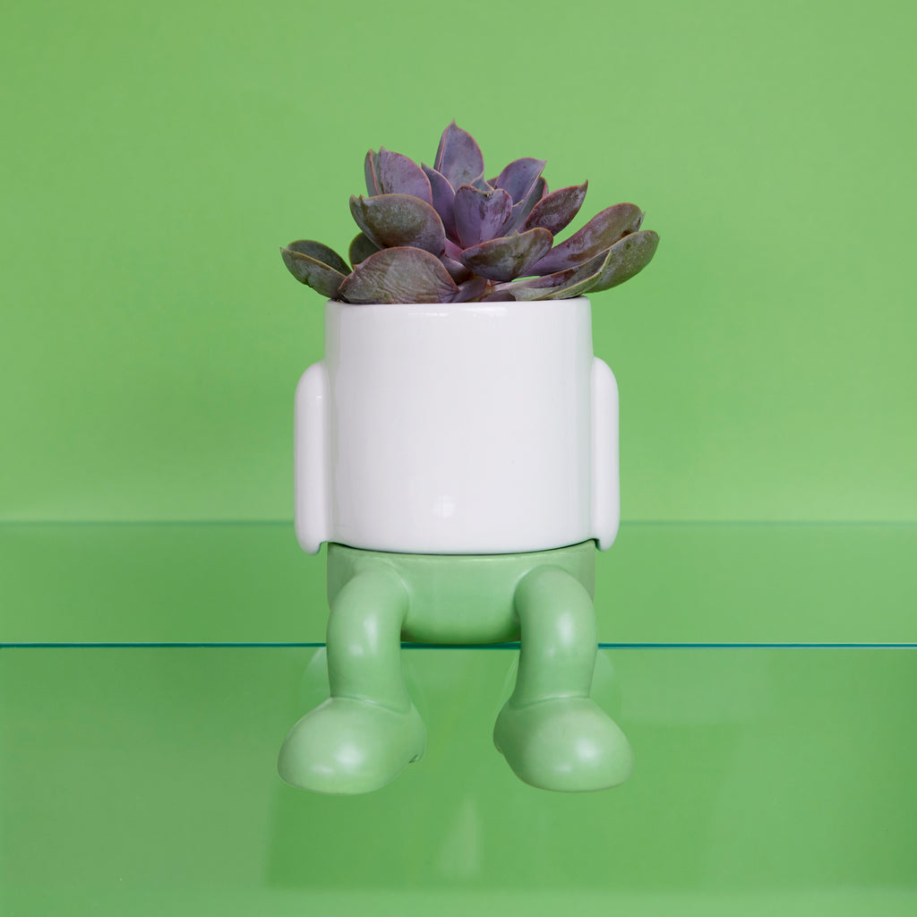 Maceta Mini Mr. Dangly