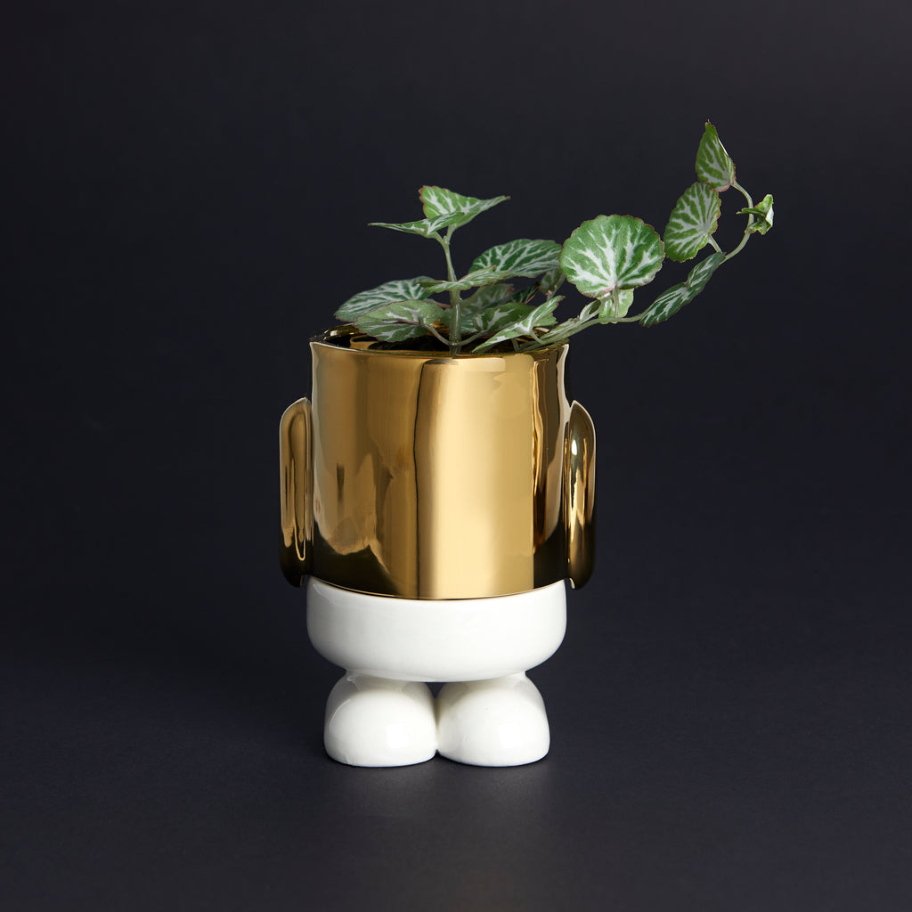 Maceta Mini Mr. Standy