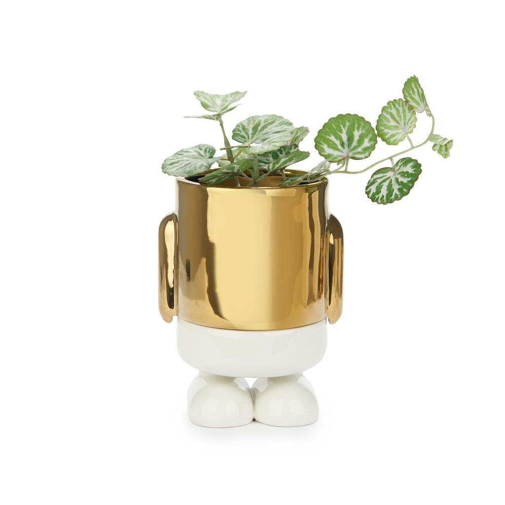 Maceta Mini Mr. Standy