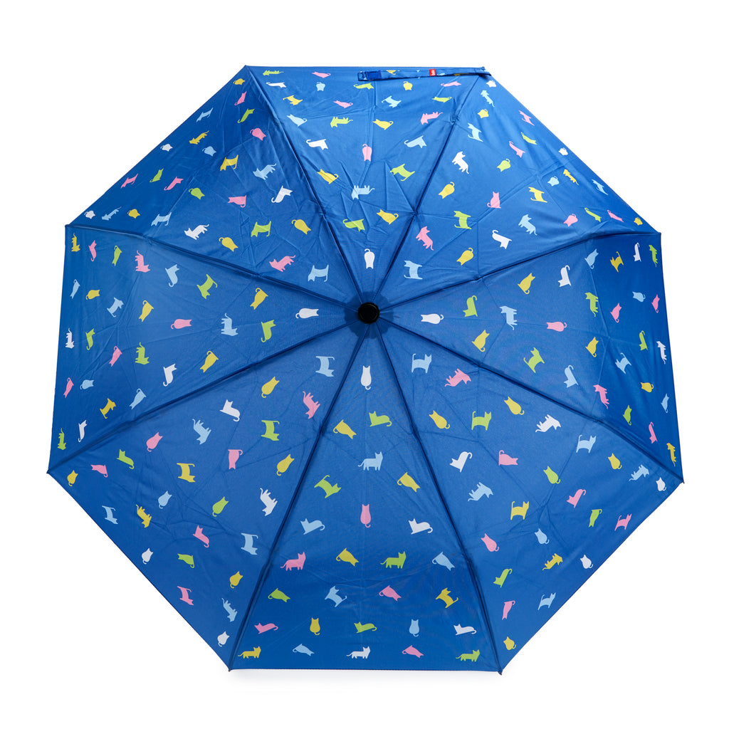 Paraguas infantil Meowmbrella