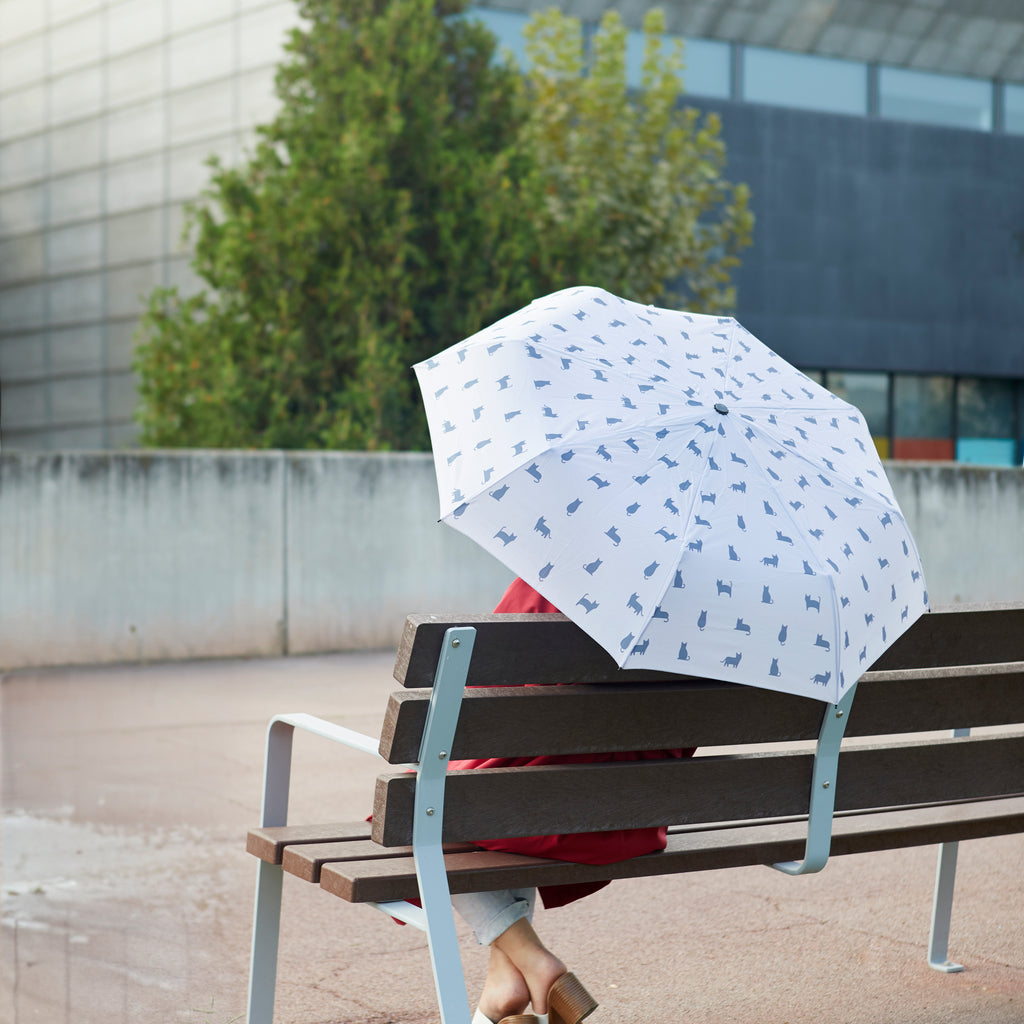 Paraguas Meowmbrella