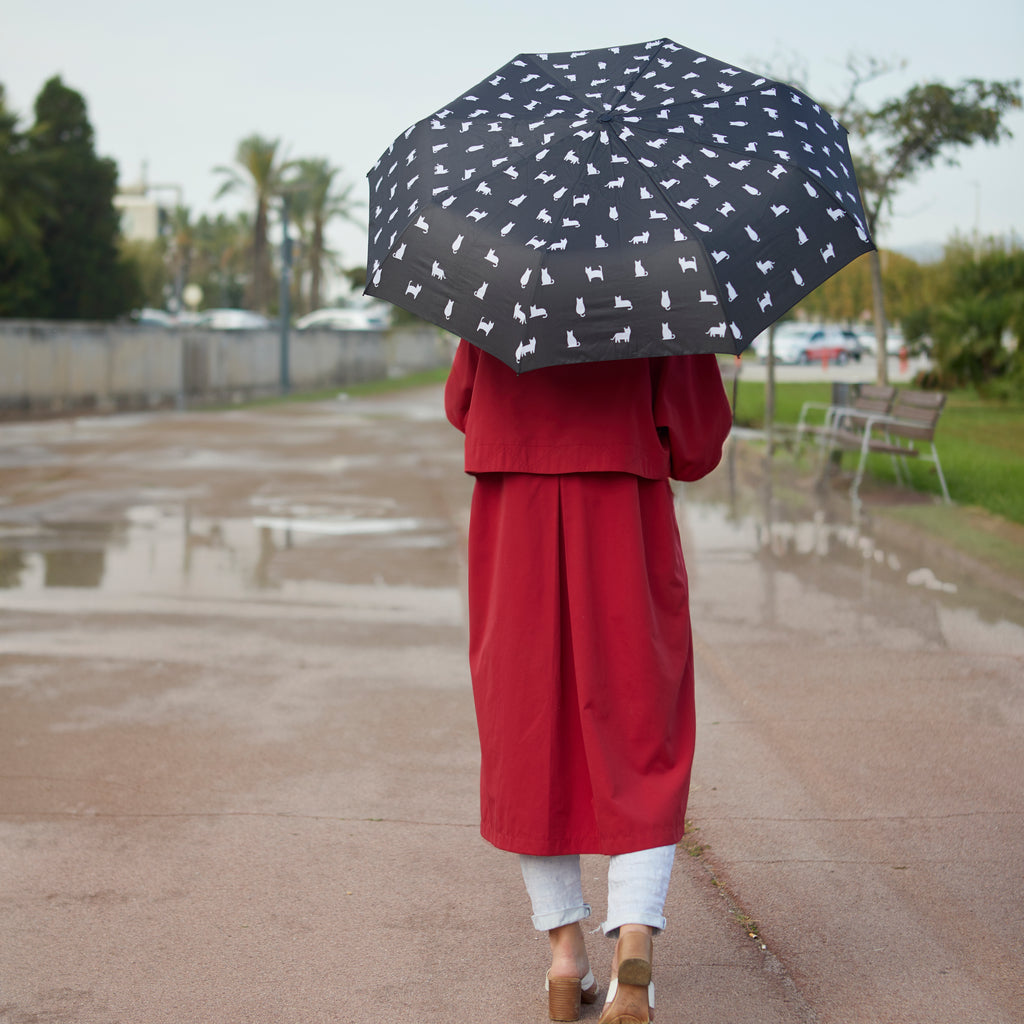 Paraguas Meowmbrella