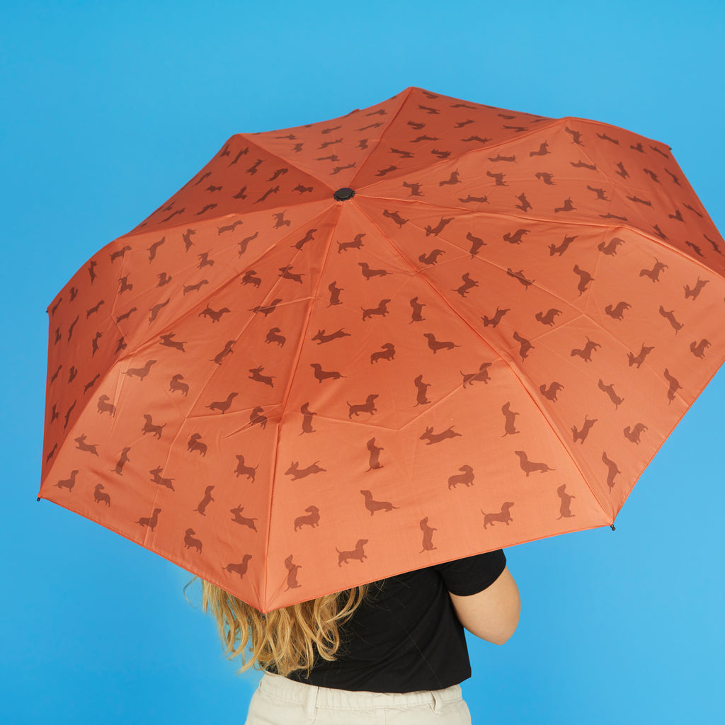 Paraguas Teckel