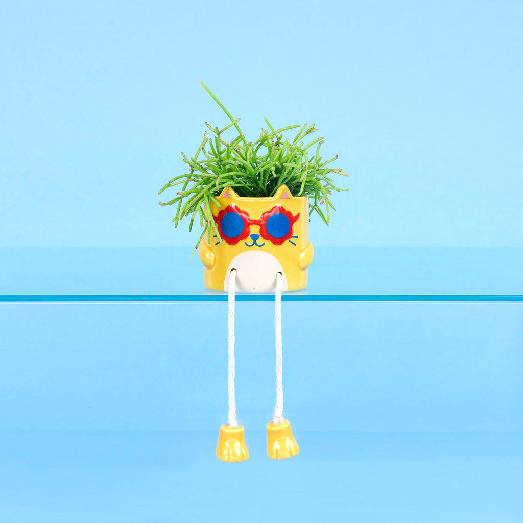 Mini coprivaso Cool Cat